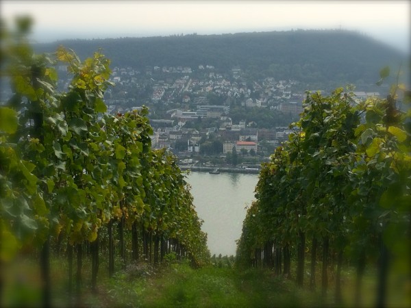 Detektivbüro in Bingen einsetzen 