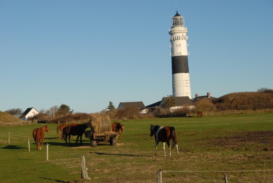 Detektiv in Husum einsetzen