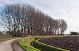 Detektive in Lingen (Ems) einsetzen 