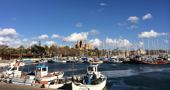 Detektivbüro auf Mallorca einsetzen 